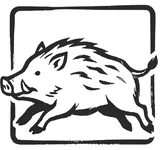 亥（いのしし）のイラスト